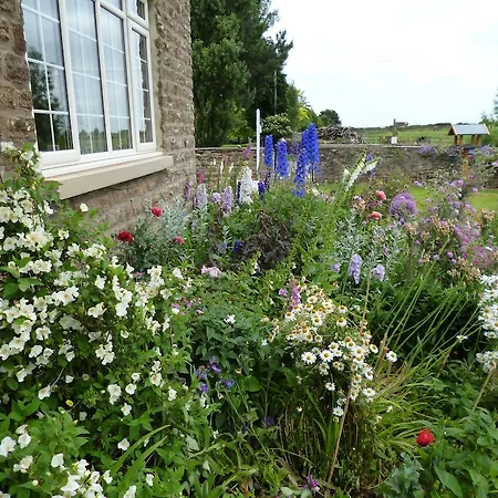 Bed & Breakfast Hall Farm