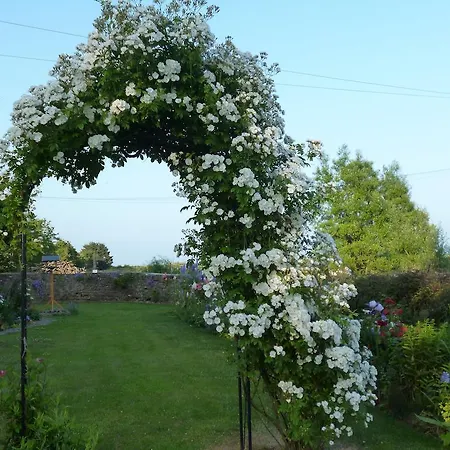 Bed & Breakfast Hall Farm Terrington