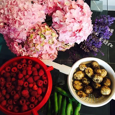 Bed & Breakfast Hall Farm Terrington