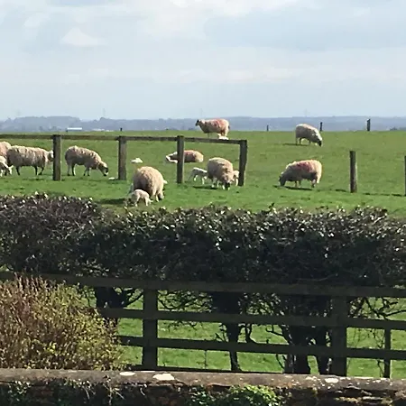 Hall Farm Terrington