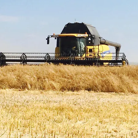 Bed & Breakfast Hall Farm 4*