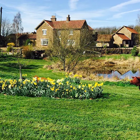 Bed & Breakfast Hall Farm Terrington