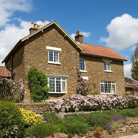 Bed & Breakfast Hall Farm
