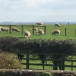 Hall Farm Terrington
