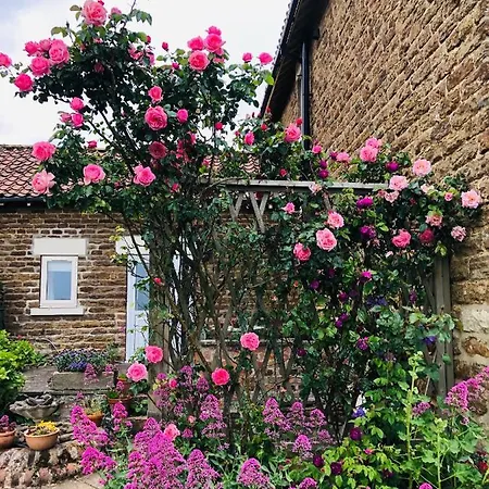 Hall Farm Bed & Breakfast Terrington