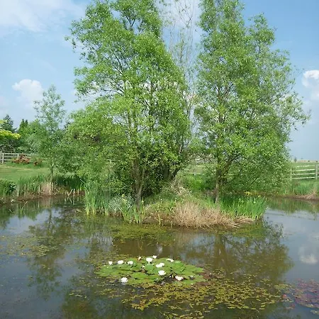 Bed & Breakfast Hall Farm