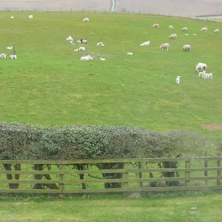 Hall Farm Terrington