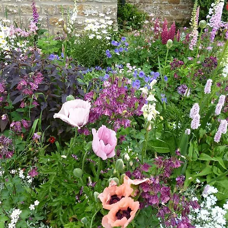 Frühstückspension Hall Farm