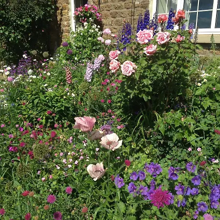 Hall Farm Terrington