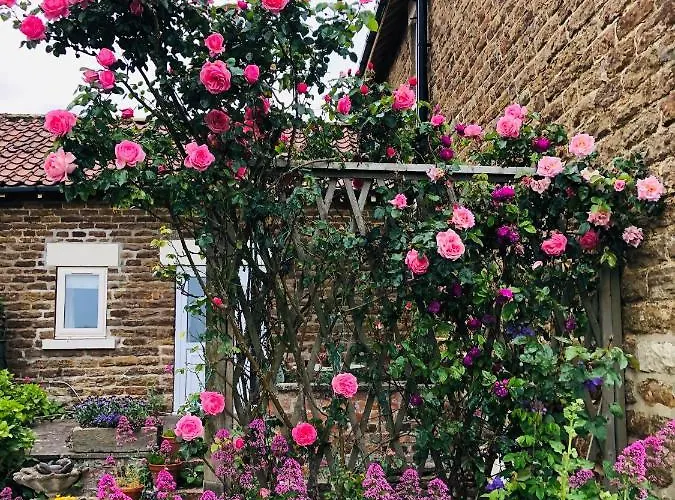 Hall Farm Bed & Breakfast Bed & Breakfast Terrington