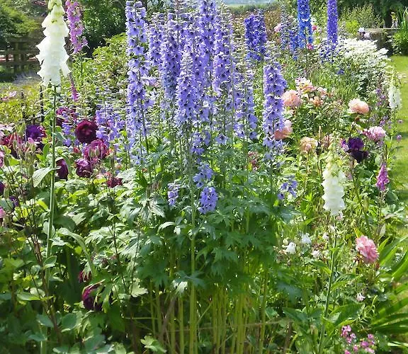 Hall Farm Bed & Breakfast Terrington