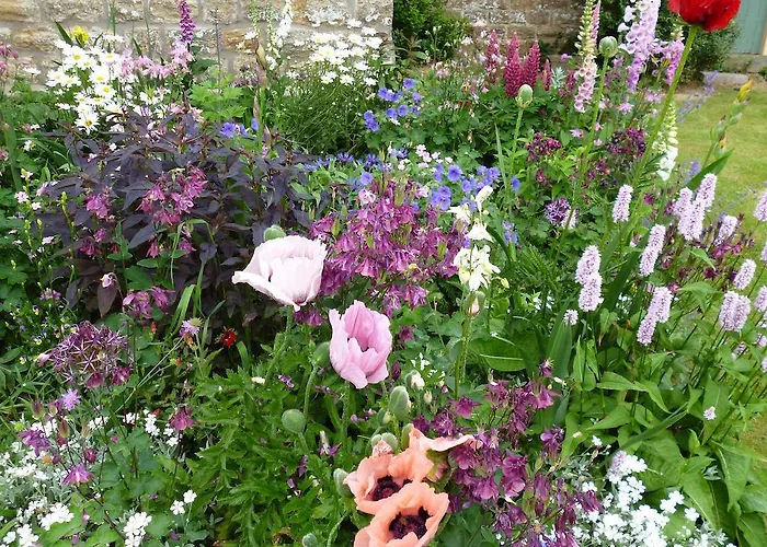 Bed & Breakfast Hall Farm Bed & Breakfast