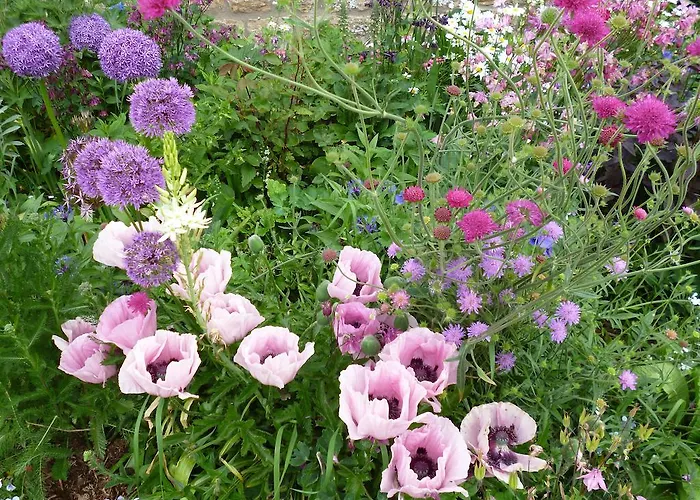 Hall Farm Bed & Breakfast