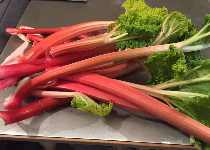 Hall Farm Bed & Breakfast