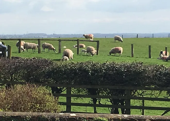 Hall Farm Bed & Breakfast Terrington