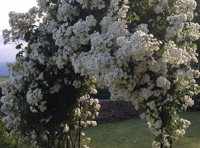 Hall Farm Bed & Breakfast