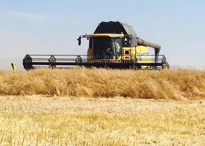 Bed & Breakfast Hall Farm Bed & Breakfast 4*