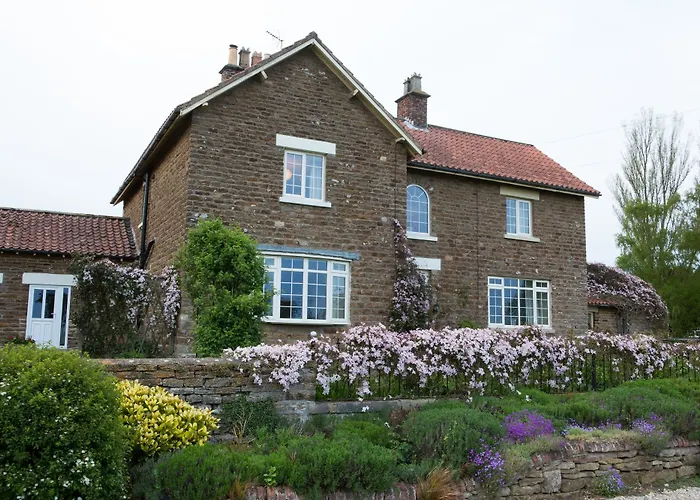 Hall Farm Bed & Breakfast Terrington