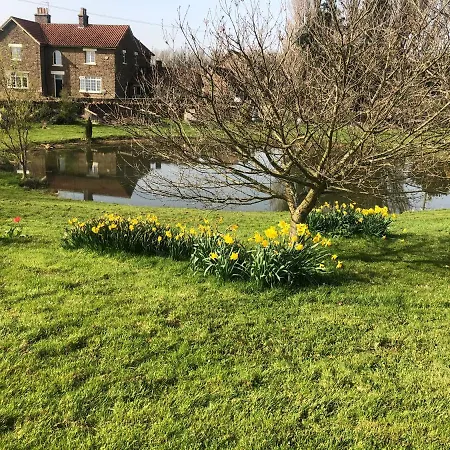 فندق مبيت وإفطار Hall Farm 4*