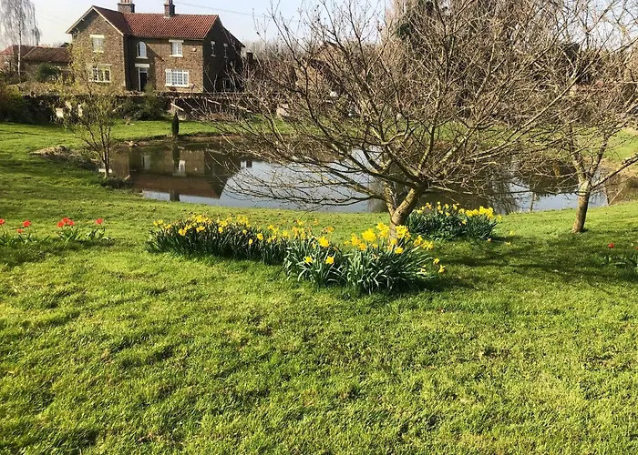 فندق مبيت وإفطار Hall Farm 4*