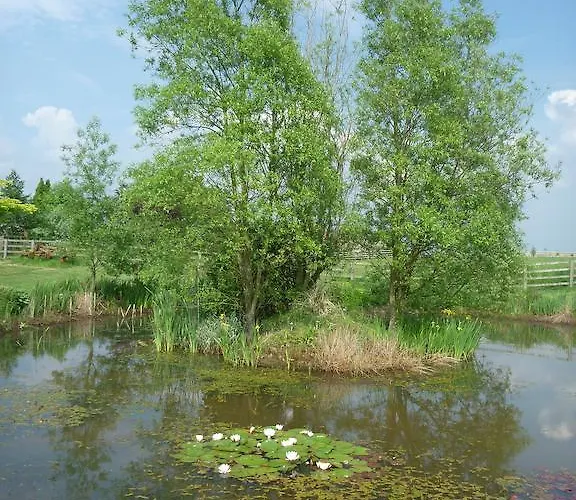 فندق مبيت وإفطار Hall Farm