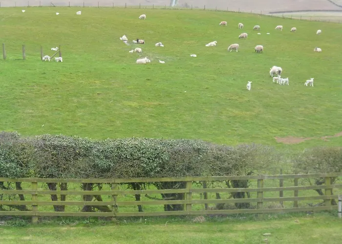 Hall Farm Terrington