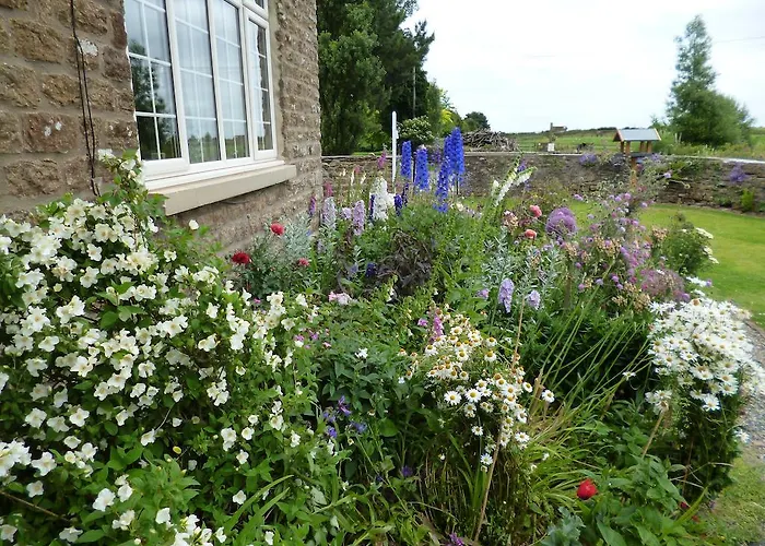 فندق مبيت وإفطار Hall Farm