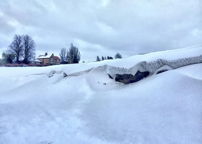 فندق مبيت وإفطار Hall Farm 4*