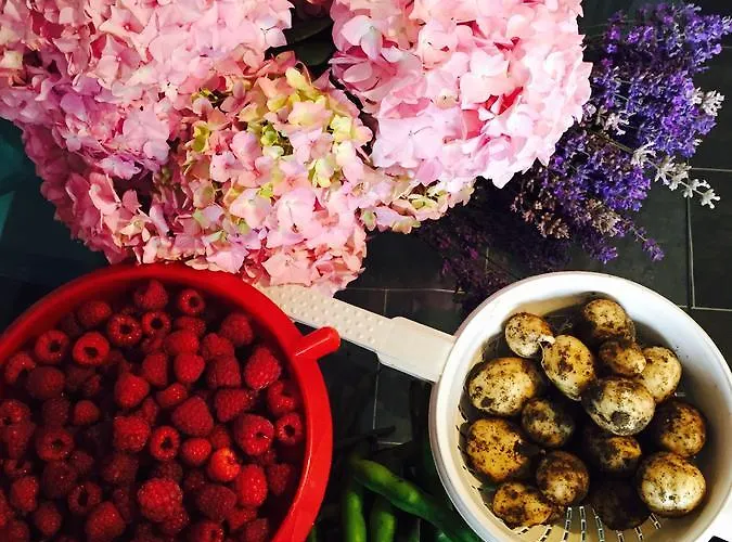 فندق مبيت وإفطار Hall Farm Terrington