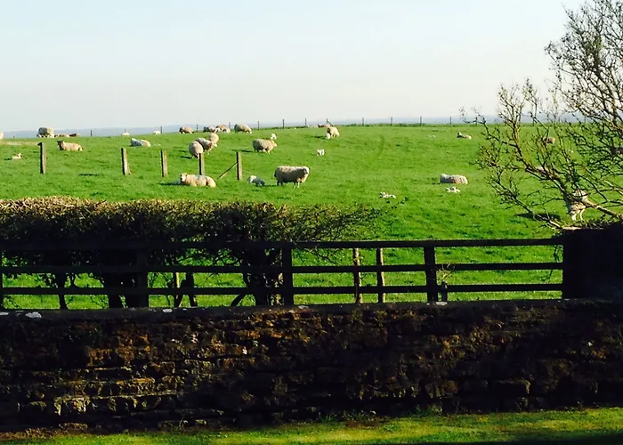 فندق مبيت وإفطار Hall Farm