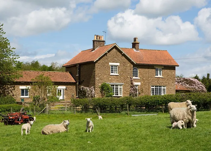 Hall Farm فندق مبيت وإفطار